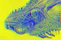 Click image for larger version

Name:	iguama.jpg
Views:	125
Size:	9.8 KB
ID:	8973786