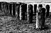 Click image for larger version

Name:	carthage beach wharf.jpg
Views:	124
Size:	110.1 KB
ID:	8973936