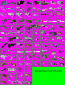 Click image for larger version

Name:	b5startrek.png
Views:	553
Size:	234.0 KB
ID:	8974157