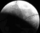 Click image for larger version

Name:	sox_moon.jpg
Views:	85
Size:	1.4 KB
ID:	8974439