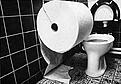 Click image for larger version

Name:	toilet_paper.jpg
Views:	56
Size:	28.8 KB
ID:	8974457