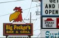 Click image for larger version

Name:	big pecker.jpg
Views:	115
Size:	24.9 KB
ID:	8975236