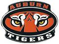 Click image for larger version

Name:	auburn4.jpg
Views:	229
Size:	21.4 KB
ID:	8975389
