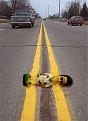 Click image for larger version

Name:	roadkill01.jpg
Views:	132
Size:	14.4 KB
ID:	8975654