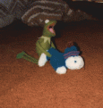 Click image for larger version

Name:	kermit1.gif
Views:	323
Size:	50.7 KB
ID:	8975958