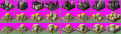 Click image for larger version

Name:	mge.gif
Views:	514
Size:	32.1 KB
ID:	8976082