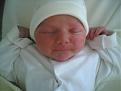 Click image for larger version

Name:	daniel 1 hour old.jpg
Views:	111
Size:	146.6 KB
ID:	8976271
