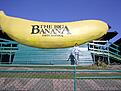 Click image for larger version

Name:	big banana coffs harbour.jpg
Views:	142
Size:	75.7 KB
ID:	8976297