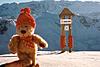 Click image for larger version

Name:	fuzzy bear wandering.jpg
Views:	195
Size:	20.2 KB
ID:	8976861