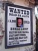 Click image for larger version

Name:	wanted paddy.jpg
Views:	264
Size:	86.1 KB
ID:	8976973