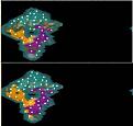 Click image for larger version

Name:	bc 250 minimaps.jpg
Views:	186
Size:	7.8 KB
ID:	8978933