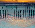 Click image for larger version

Name:	dubbeldam%20low%20tide.jpg
Views:	145
Size:	311.8 KB
ID:	8979472