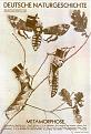 Click image for larger version

Name:	metamorphose.jpg
Views:	361
Size:	142.8 KB
ID:	8979631