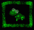 Click image for larger version

Name:	zaba grafitti.gif
Views:	208
Size:	4.7 KB
ID:	8979749