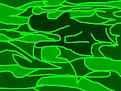 Click image for larger version

Name:	fantom zaba bmp.jpg
Views:	213
Size:	25.9 KB
ID:	8979754