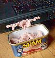 Click image for larger version

Name:	spam in laptop.jpg
Views:	127
Size:	58.6 KB
ID:	8979852