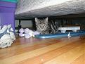 Click image for larger version

Name:	hiding gizmo.jpg
Views:	108
Size:	56.6 KB
ID:	8979860