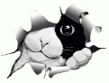 Click image for larger version

Name:	sydney's looking at ya.gif
Views:	133
Size:	9.0 KB
ID:	8979867