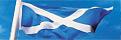 Click image for larger version

Name:	st andrews flag.jpg
Views:	167
Size:	10.7 KB
ID:	8980058