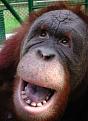 Click image for larger version

Name:	33%20christopher%20laugh.jpg
Views:	140
Size:	21.8 KB
ID:	8980168