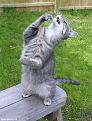 Click image for larger version

Name:	sara-laugh.jpg
Views:	73
Size:	171.8 KB
ID:	8980555