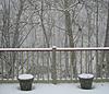 Click image for larger version

Name:	backyard small.jpg
Views:	258
Size:	175.8 KB
ID:	8980751