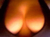 Click image for larger version

Name:	12893.gif
Views:	284
Size:	44.2 KB
ID:	8981074