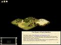Click image for larger version

Name:	early warfare.jpg
Views:	358
Size:	9.4 KB
ID:	8981203