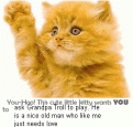 Click image for larger version

Name:	2002-team-waving-kitty-a.gif
Views:	126
Size:	25.6 KB
ID:	8981352