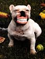Click image for larger version

Name:	smiley01.jpg
Views:	64
Size:	300.4 KB
ID:	8981362