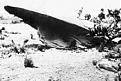 Click image for larger version

Name:	roswell.jpg
Views:	166
Size:	17.0 KB
ID:	8981979