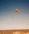 Click image for larger version

Name:	cow_ufo.jpg
Views:	190
Size:	16.8 KB
ID:	8982142