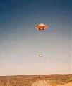 Click image for larger version

Name:	cow_ufo.jpg
Views:	172
Size:	16.8 KB
ID:	8982142