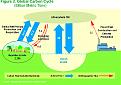 Click image for larger version

Name:	figure2.jpg
Views:	128
Size:	95.3 KB
ID:	8983126