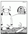 Click image for larger version

Name:	cowtools.gif
Views:	313
Size:	17.1 KB
ID:	8983397