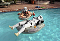 Click image for larger version

Name:	stormtrooperfloties.jpg
Views:	151
Size:	972.1 KB
ID:	8984015
