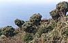 Click image for larger version

Name:	trees.jpg
Views:	118
Size:	35.0 KB
ID:	8985072