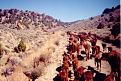 Click image for larger version

Name:	cattle%20drive%203.jpg
Views:	219
Size:	127.5 KB
ID:	8985180