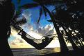 Click image for larger version

Name:	paddy's paradise.jpg
Views:	122
Size:	34.0 KB
ID:	8985250
