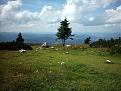 Click image for larger version

Name:	hochleckenhaus.jpg
Views:	279
Size:	90.1 KB
ID:	8985873