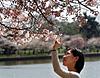 Click image for larger version

Name:	capt.wx12004062113.cherry_blossoms_wx120.jpg
Views:	129
Size:	30.6 KB
ID:	8986738