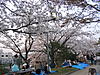Click image for larger version

Name:	img_6261.jpg
Views:	99
Size:	402.8 KB
ID:	8986752