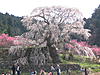 Click image for larger version

Name:	img_6287.jpg
Views:	105
Size:	329.1 KB
ID:	8986753