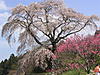 Click image for larger version

Name:	img_6273.jpg
Views:	104
Size:	368.8 KB
ID:	8986754