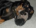 Click image for larger version

Name:	pillow-squeak2.jpg
Views:	107
Size:	45.8 KB
ID:	8987719