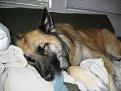 Click image for larger version

Name:	buddy.jpg
Views:	172
Size:	112.2 KB
ID:	8987765