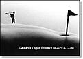 Click image for larger version

Name:	400golfinginnavel.jpg
Views:	148
Size:	8.6 KB
ID:	8987771