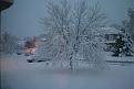 Click image for larger version

Name:	img_1942frontyardwinter.jpg
Views:	104
Size:	58.5 KB
ID:	8987985