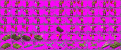 Click image for larger version

Name:	ww2ish.gif
Views:	1471
Size:	51.1 KB
ID:	8988247