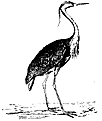 Click image for larger version

Name:	heron.bmp
Views:	84
Size:	168.0 KB
ID:	8988843